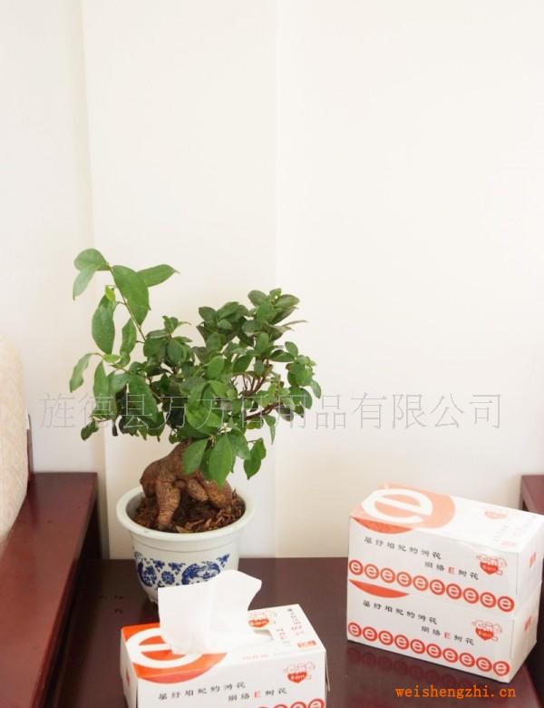 【中國好貨源】潔凈衛生白皙柔韌手感細滑吸水強勁x型面紙