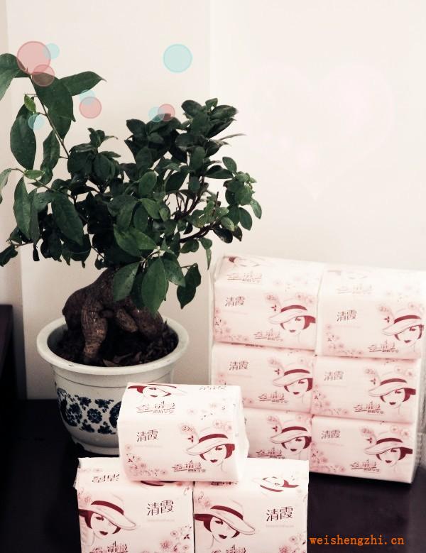 【紙巾廠家】常年供應生活用紙衛生紙餐巾紙廁紙卷筒紙