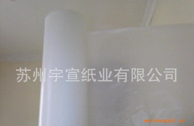 生產(chǎn)加工60克優(yōu)質醫(yī)用淋膜紙