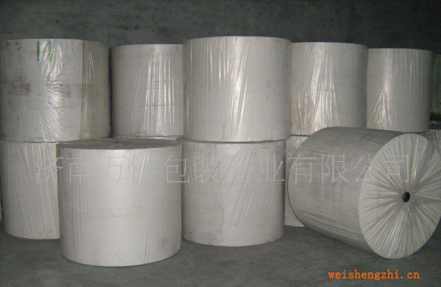 供應(yīng)廠家直銷無(wú)塵紙