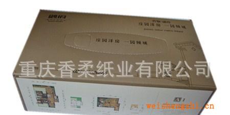 【低價直銷】供應各類紙巾（廣告、盒抽、餐巾紙等）(圖)