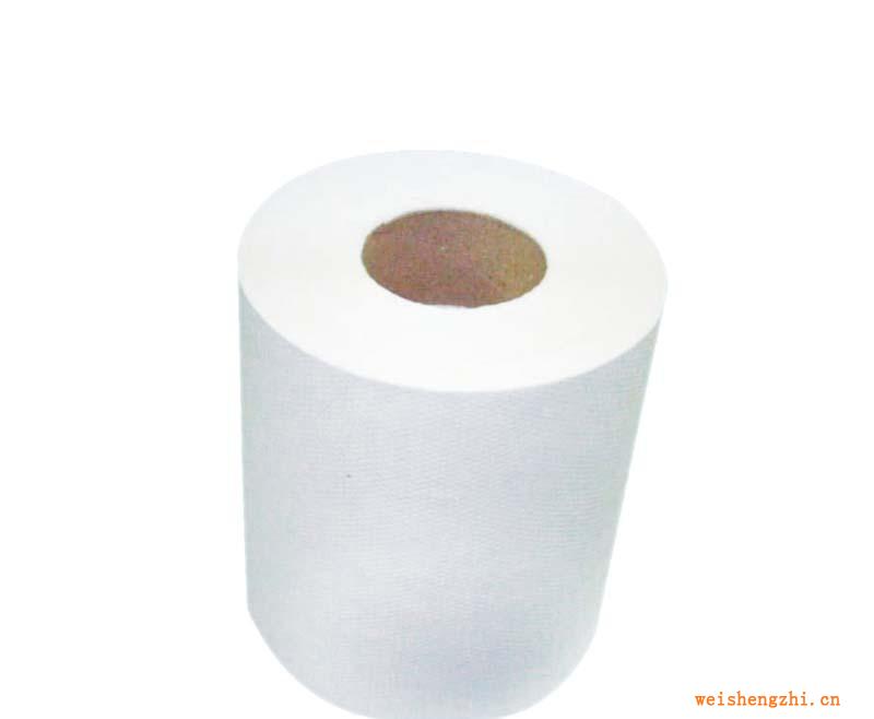 批量推薦供應(yīng)生活用紙圓筒擦手紙衛(wèi)生紙