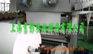 輪胎標簽底層背膠用牛皮材質白色單面離型紙，硅油紙廠家直銷