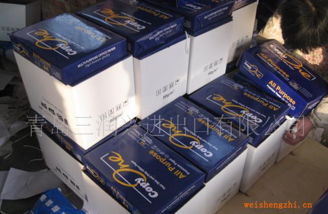 供應靜電復印紙(100%木漿不卡紙，雙面打?。?/></a>
<ul><li><a href=