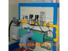 供應(yīng)60萬(wàn)大卡美國(guó)E牌燃燒機(jī)