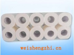 保定瑞豐酒店用紙|河北瑞豐酒店空心卷紙|河北造紙廠|賓館用紙