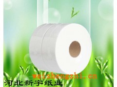 河北新宇紙業|保定大盤紙|河北大軸紙|河北杠紙|滿城衛生紙