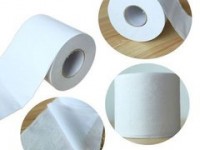 江西省生活用紙專業委員會成立并揭牌