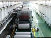造紙行業下半年勢頭強勁 晨鳴紙業產品價格上調