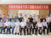 中國造紙協會竹漿工作委員會成立大會在成都召開