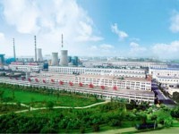 太陽紙業擬13.6億美元在美建廠 貼近原料產地