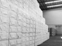 中國成為巴西一大紙漿出口目的地國