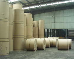 淮河流域可建造紙廠？