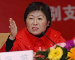 張茵：當下創業者應充分把握優惠政策