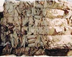 包裝紙箱生產達到高峰 廢紙回收利用行業也掀起浪潮