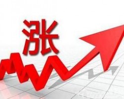 造紙行業：年末多重因素推動漲價提速