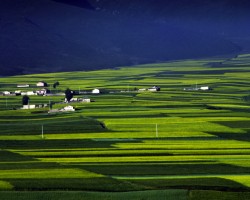 愛傳四季 讓鄉村生活變優雅