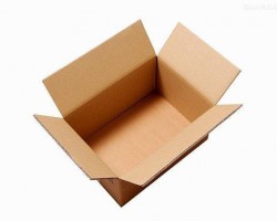 包裝紙箱漲價殃及花卉行業