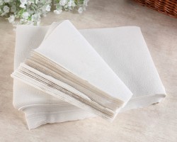 平板衛生紙加工設備都有什么