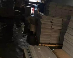 廣州暴雨突然來襲，紙品廠措手不及