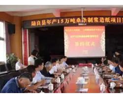 年產15萬噸桑條制漿造紙項目落戶云南陸良