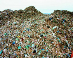 循環再利用！垃圾發電