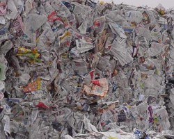 繼福建之后，海南廢紙價格也上漲！