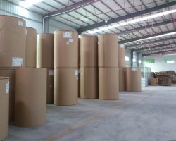 武功東方紙業投資3.8億項目竣工