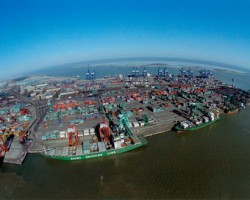 2017年天津港紙尿褲進口量下降，日本仍居