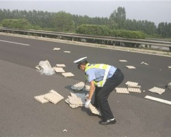 高速路變“垃圾場”，原因竟是....