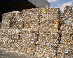 廢紙箱回收價遇“過山車”誰在作祟