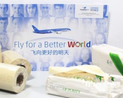 環(huán)保型竹漿紙成為廈航機供主流