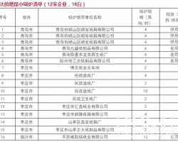 山東造紙企業6月前必須完成10蒸噸以上鍋爐超低排放