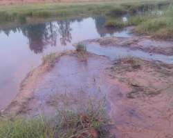 膽大包天！無證造紙廠建到了農田中
