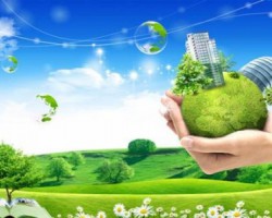 環保督查到底查的是什么？