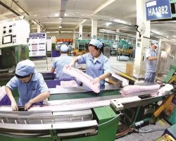 打造千億級(jí)生活用紙航母 3年后這個(gè)“中華紙都”紙品產(chǎn)能將突破350萬噸