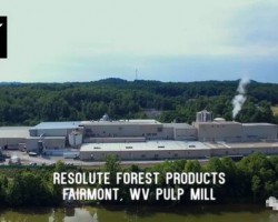 全球第三大再生紙漿廠被紙業(yè)巨頭玖龍收購！