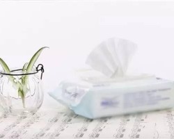 濕巾的專業分類