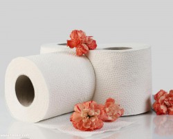 六種衛(wèi)生紙紙張火焰通過焦油判斷質(zhì)量的物理特征