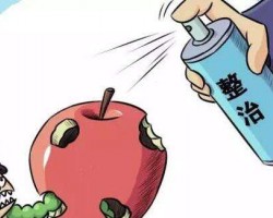 浙江龍港 ：分類推進整治印刷行業(yè)  拒不整改私自生產(chǎn)將嚴查