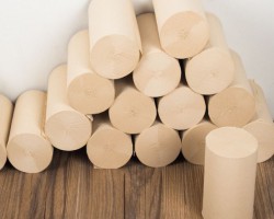 渠縣30萬噸竹漿紙一體化項目正式落地