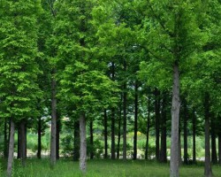 陜西省對三項大氣污染防治措施獎金補助