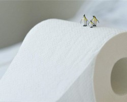 港媒：中國(guó)在造紙術(shù)上再獲突破 粉煤灰可代替部分木漿