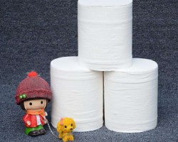 郭永新：中國紙業高質量發展戰略對策