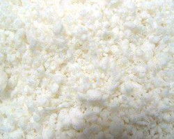 紙漿期貨上市一周年 市場正在悄然改變著