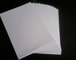 中國資本激活肯塔基州 紙業占據先機