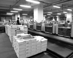 全面禁廢有助于縮小與大陸紙廠的先天條件落差