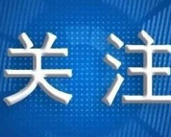 復(fù)工達產(chǎn)調(diào)研報告：山東造紙業(yè)呈現(xiàn)“兩高兩低三難”