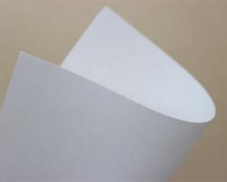 晨鳴、景興、山鷹等龍頭紙企開機率逐日提升