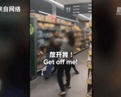 疫情下衛(wèi)生紙海外大賣 我國衛(wèi)生用品出口企業(yè)3.5萬家